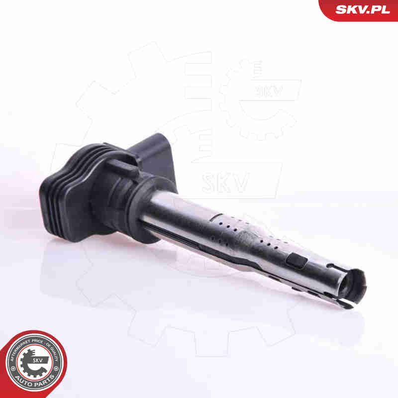 ESEN SKV 03SKV134 Ignition Coil