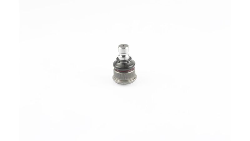 SKF VKDS 316006 Šarnyras / girgždukas