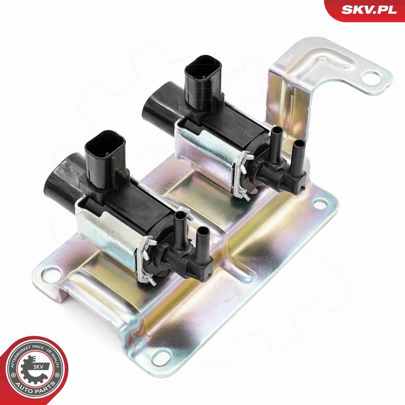 ESEN SKV 14SKV925 Valve, air control (intake air)