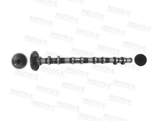 MOTIVE T4342 Camshaft