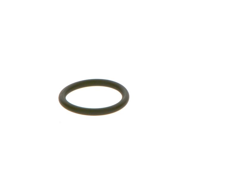 BOSCH F 00R J01 452 Rubber Ring