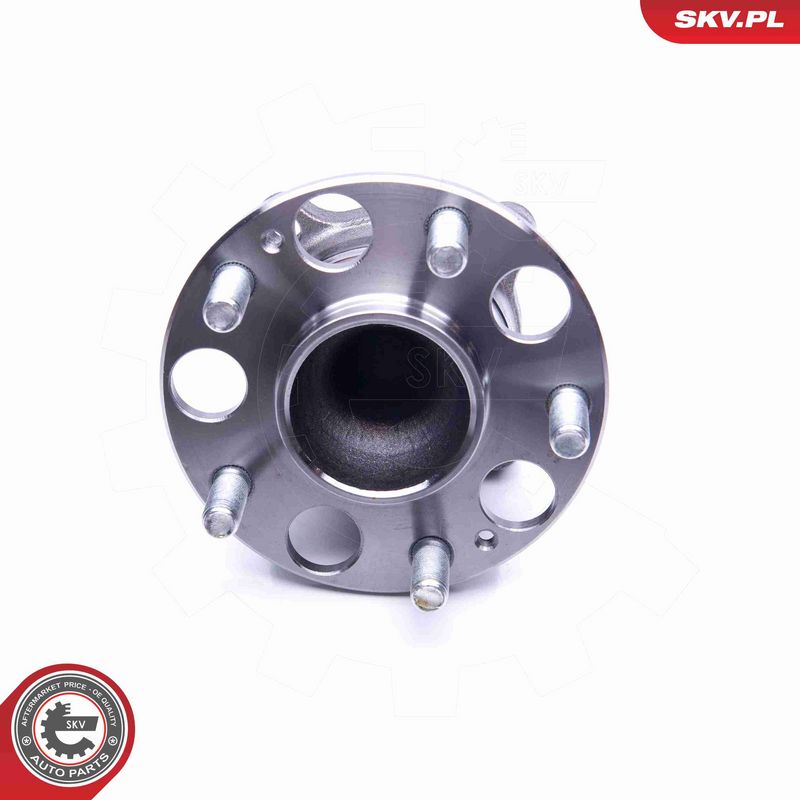 ESEN SKV 29SKV239 Wheel Bearing Kit