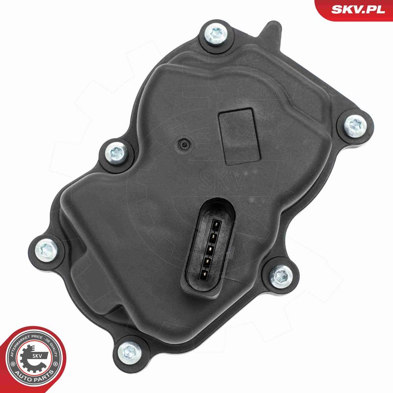 ESEN SKV 14SKV277 EGR Valve