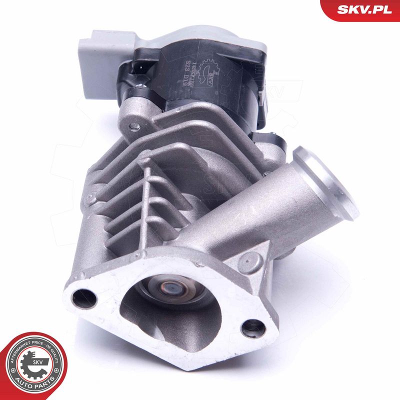 EGR-klapp, ESEN SKV 14SKV173