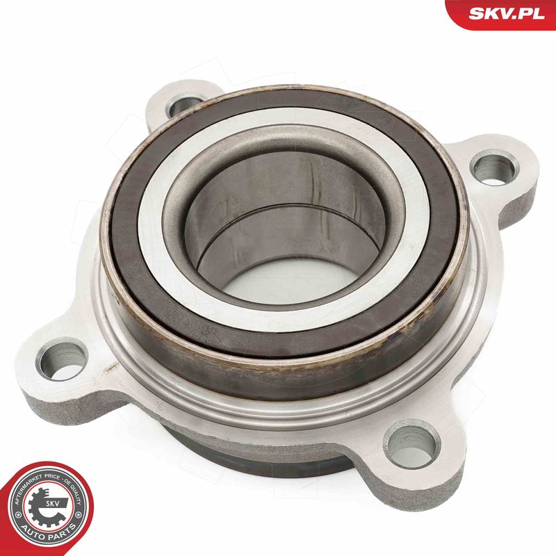 ESEN SKV 29SKV673 Wheel Bearing Kit
