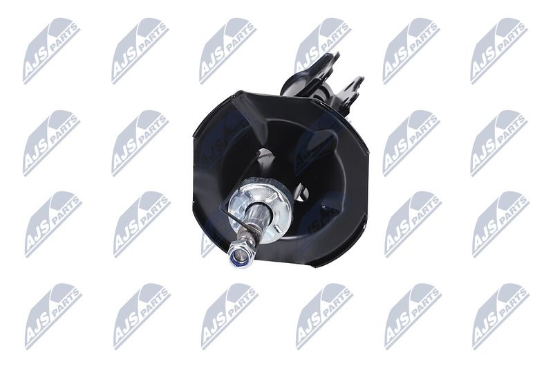 Amort, NTY A-TY-096