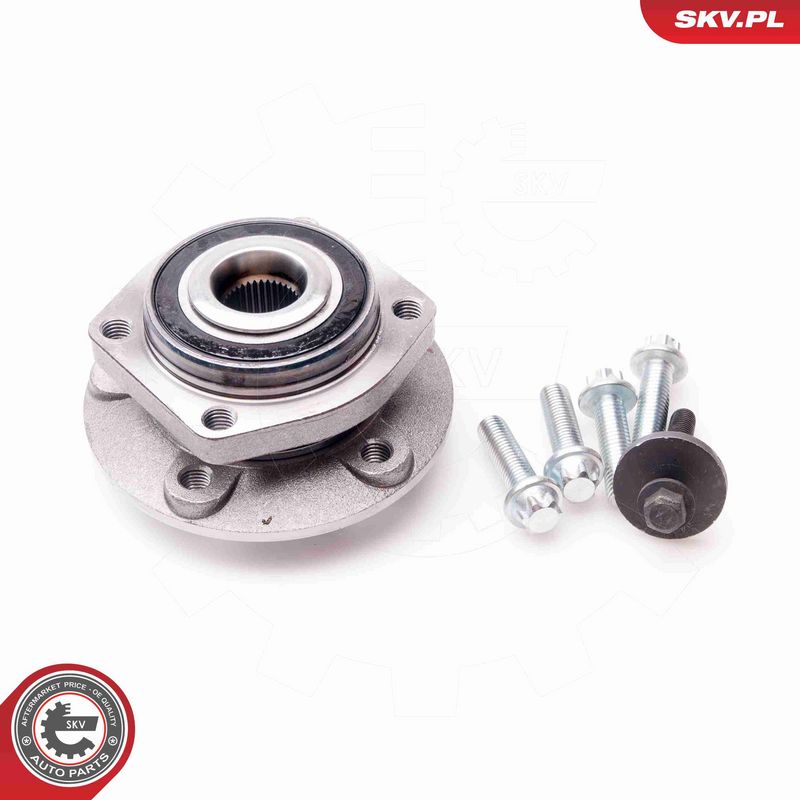 ESEN SKV 29SKV097 Wheel Bearing Kit