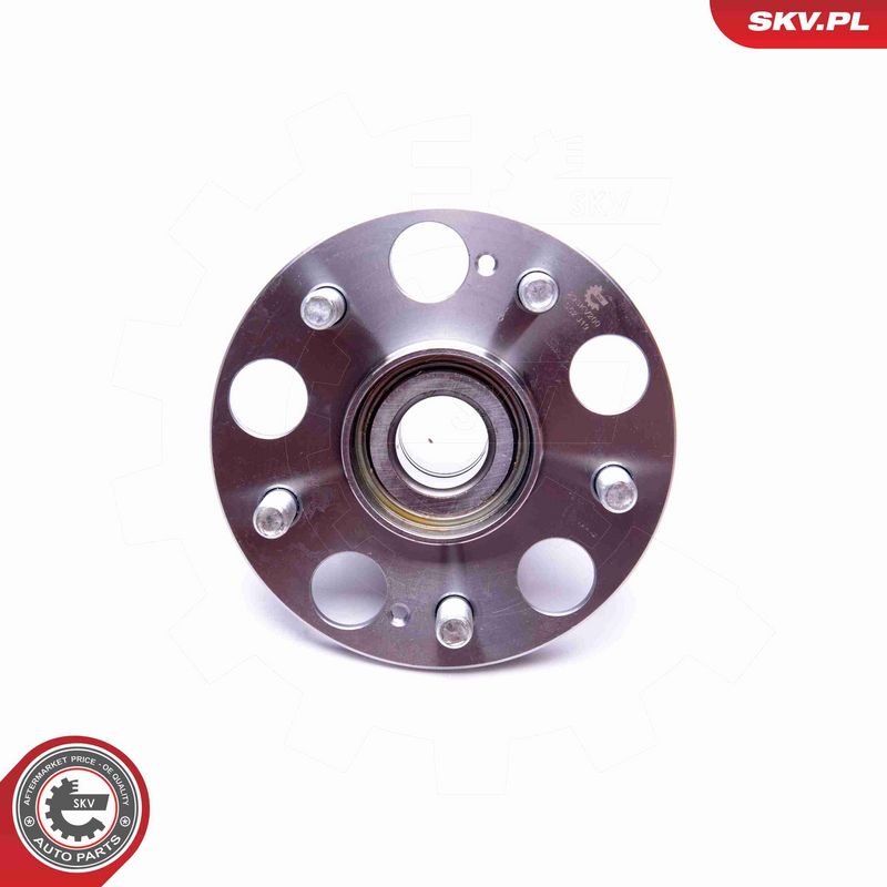 ESEN SKV 29SKV200 Wheel Bearing Kit