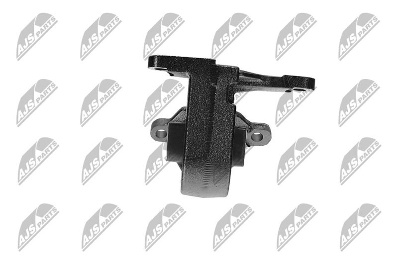 Paigutus, Mootor, NTY ZPS-CH-087