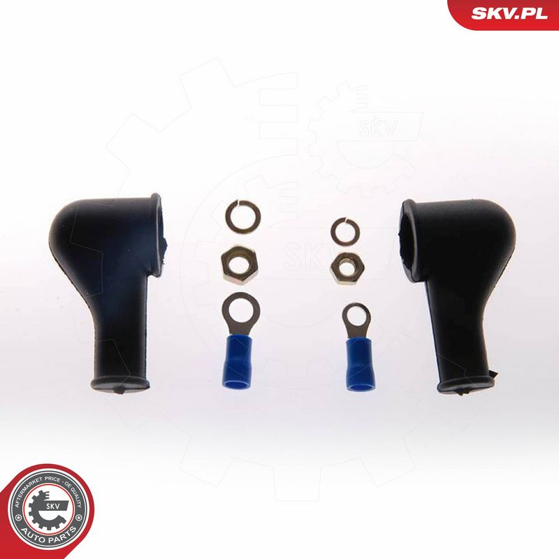 ESEN SKV 02SKV012 Fuel Pump