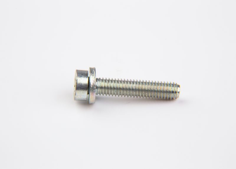 BOSCH F002D13698 Screw