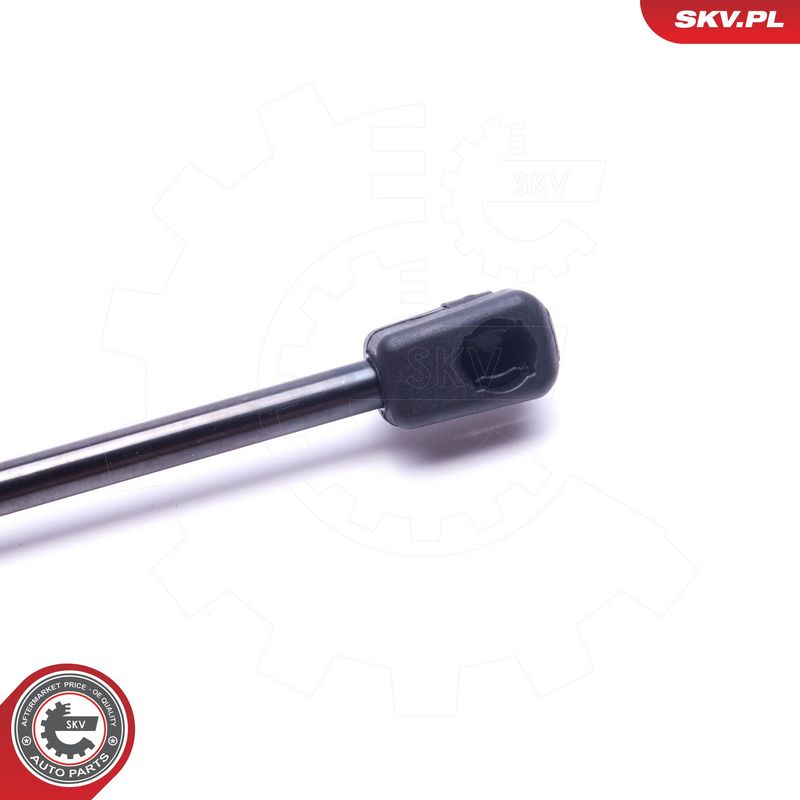 Gaasivedru, pagasi-, veoruum, ESEN SKV 52SKV589