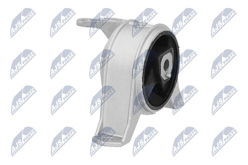Paigutus, Mootor, NTY ZPS-PL-001