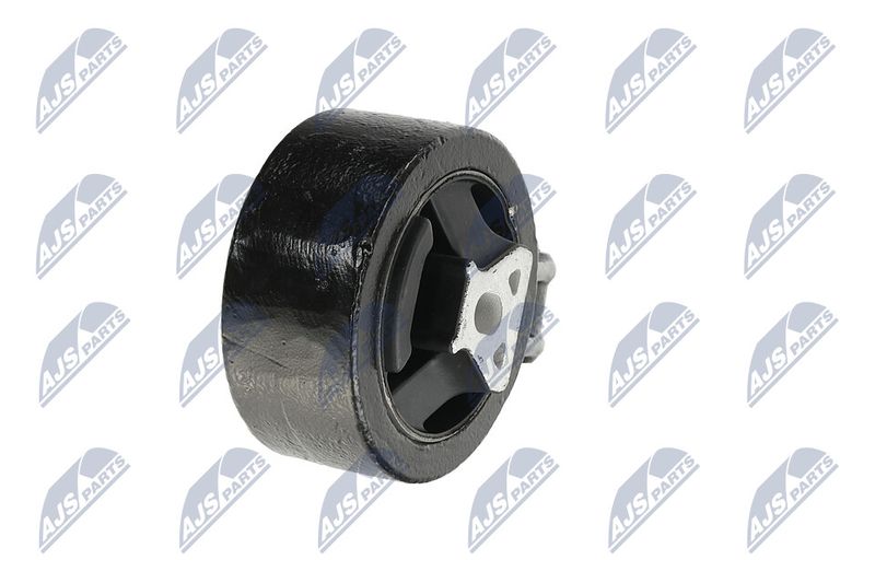 Paigutus, Mootor, NTY ZPS-CH-137