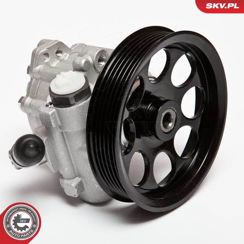 Hüdraulikapump, roolimine, ESEN SKV 10SKV070