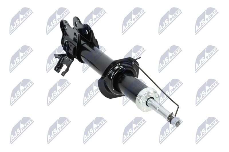 Amort, NTY A-NS-009
