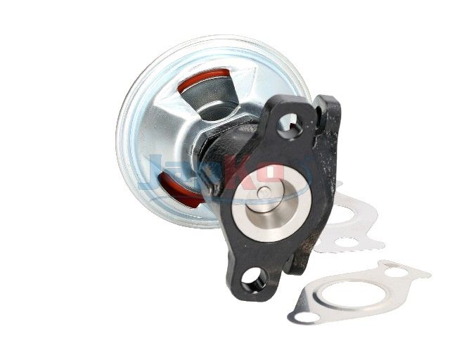 JAPKO 150H06 EGR Valve