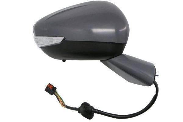 BLIC 5402-21-0209311P Exterior Mirror