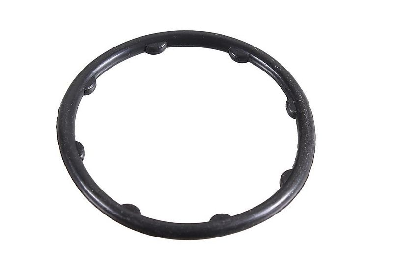 METZGER AUTOTEILE 2430111 - Seal Ring