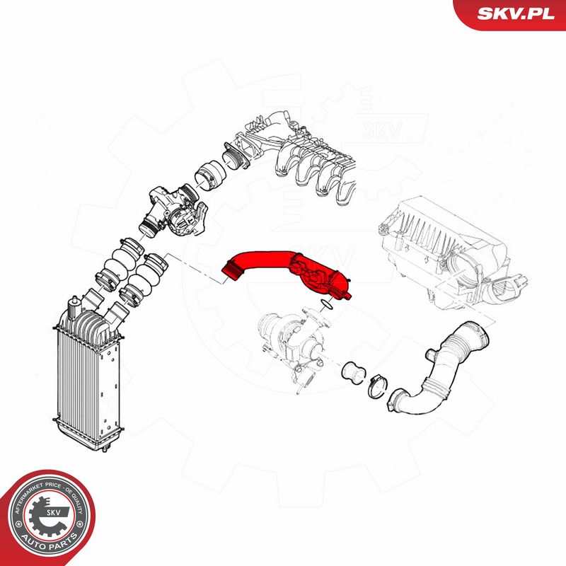 ESEN SKV 43SKV317 Charge Air Hose