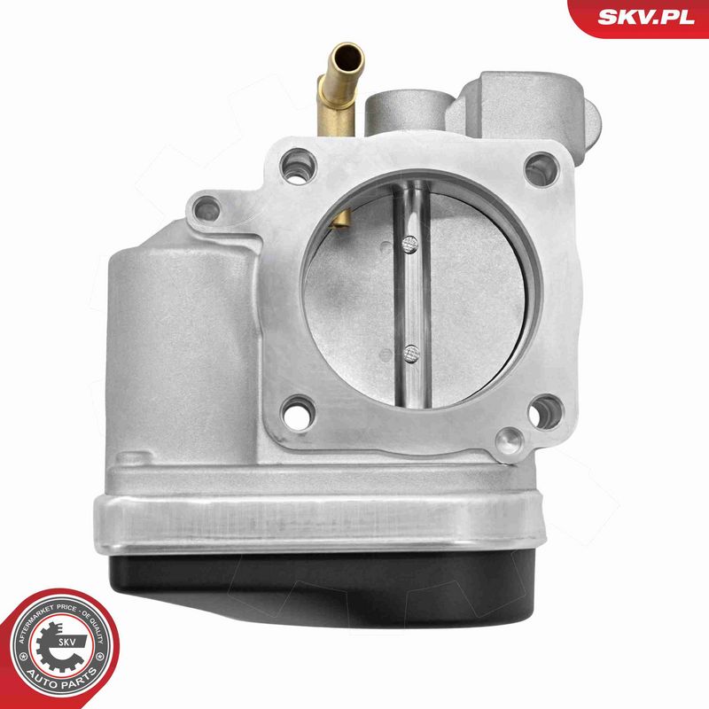 ESEN SKV 12SKV189 Throttle Body
