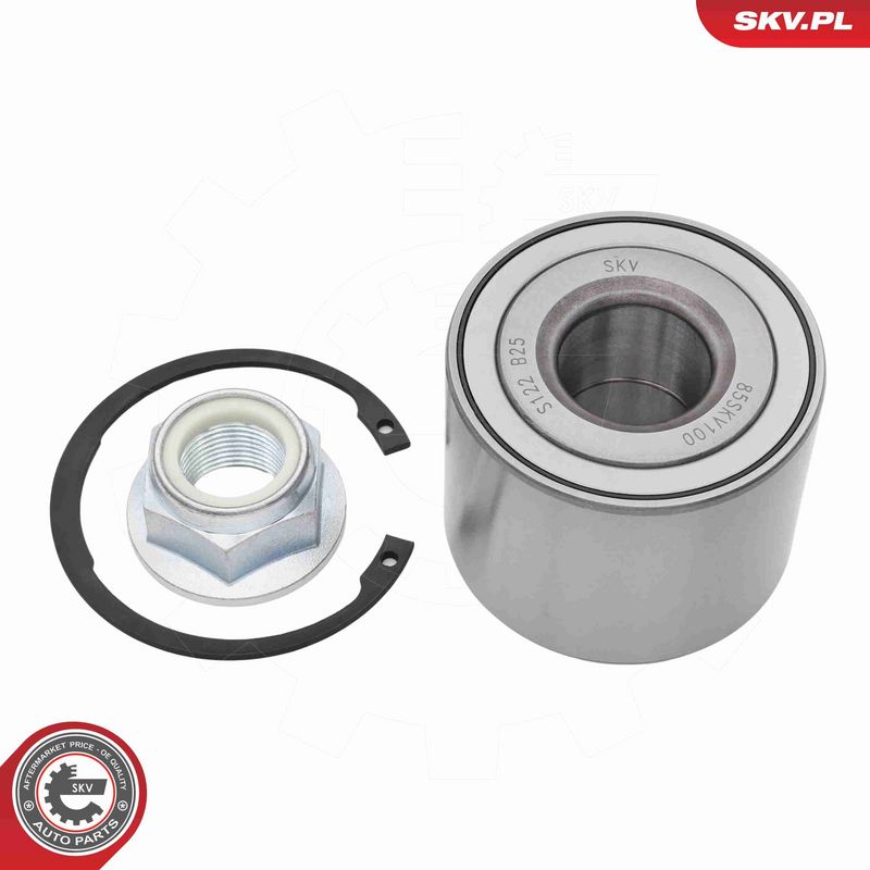 ESEN SKV 85SKV100 Wheel Bearing Kit
