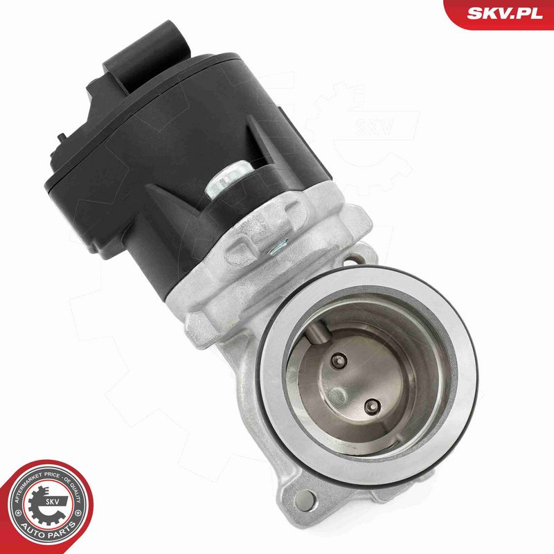 ESEN SKV 14SKV275 EGR Valve