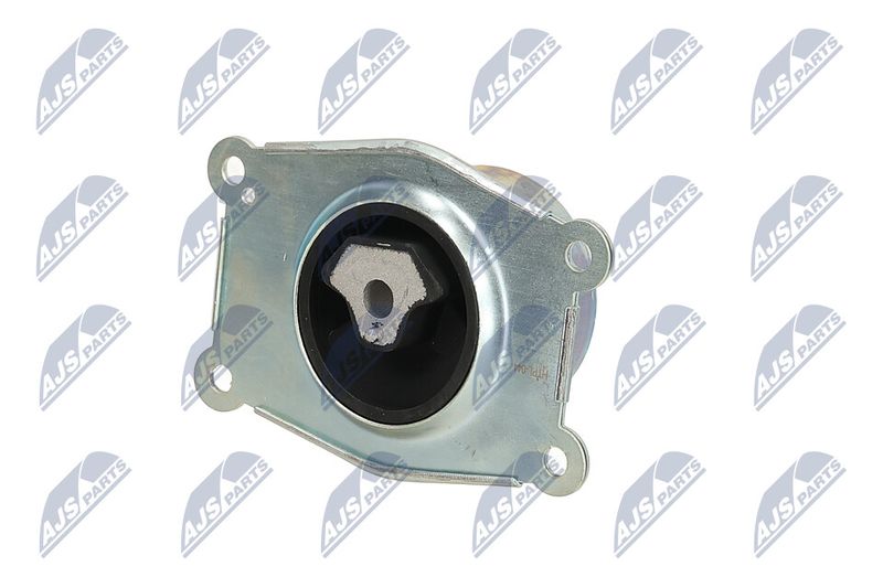 Paigutus, Mootor, NTY ZPS-PL-044