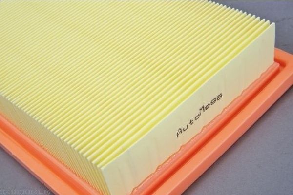 AUTOMEGA 180031010 Air Filter