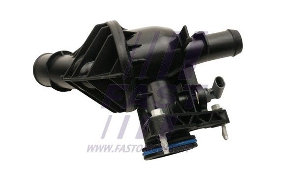 FT58047_3_1.JPG