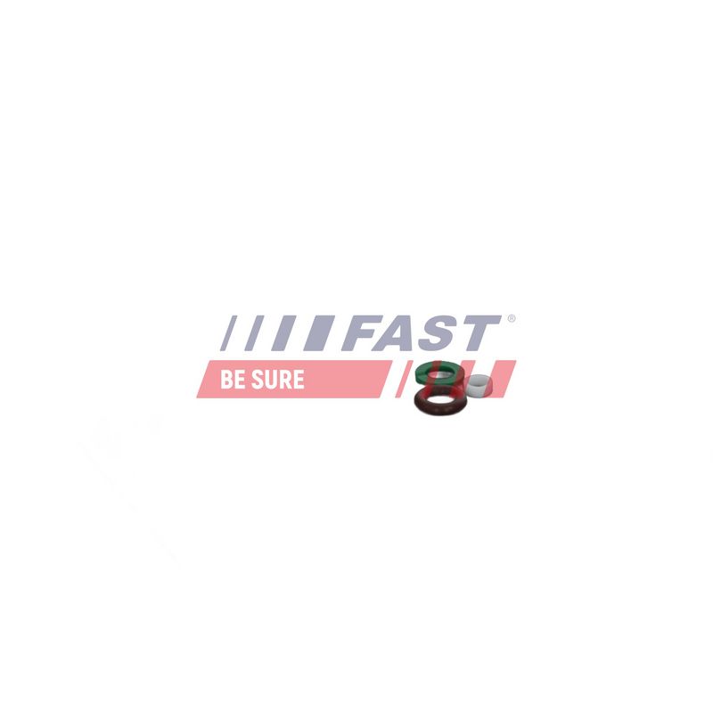FAST FT01835 Repair Kit, unit injector