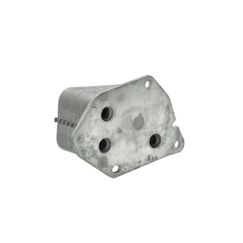 Image 21