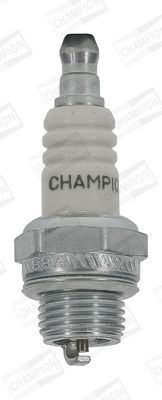 CCH843S_2212190.JPG