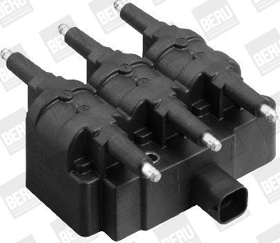BorgWarner (BERU) ZS407 Ignition Coil