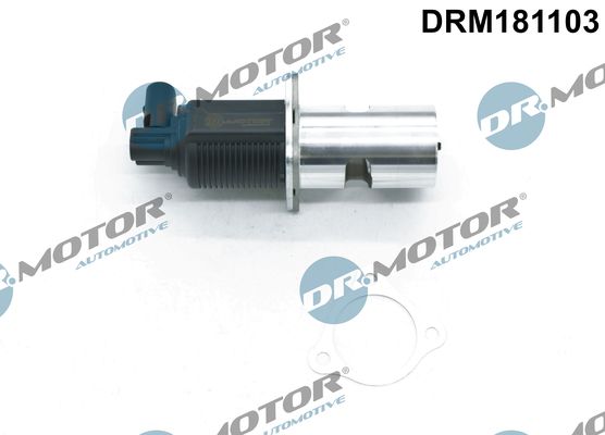 Клапан системи рециркуляції вг, Dr.Motor DRM181103