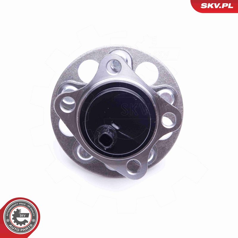 ESEN SKV 29SKV395 Wheel Bearing Kit