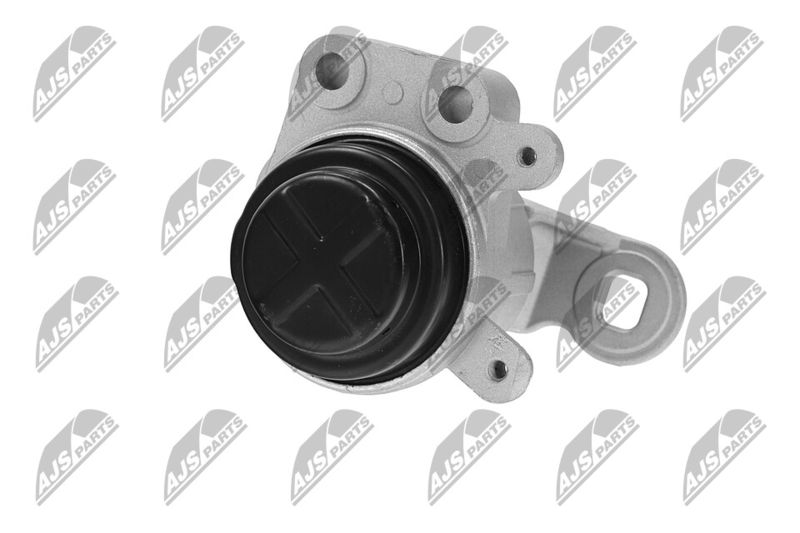 Paigutus, Mootor, NTY ZPS-FR-044