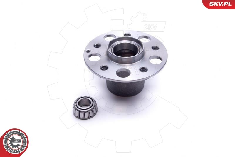 ESEN SKV 29SKV423 Wheel Bearing Kit