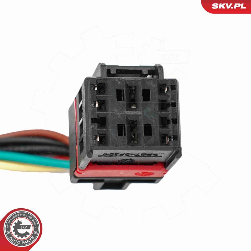 ESEN SKV 52SKV238 Electric Motor, tailgate
