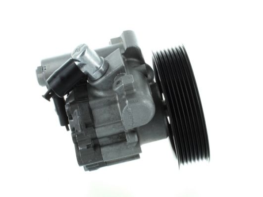 SPIDAN 52613 Hydraulic Pump, steering