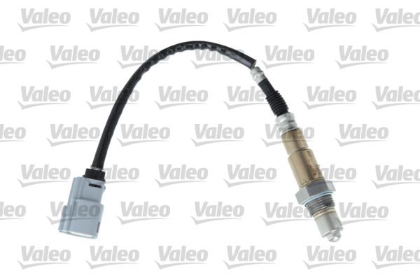 OXYGENSENSORS_368038_001.JPG