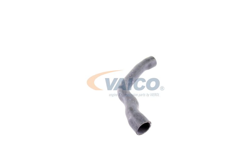 VAICO V30-2099 Radiator Hose