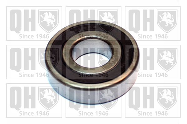 QH_XB9939.JPG