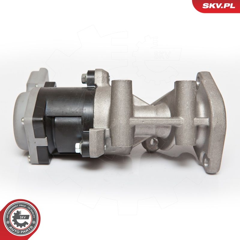 EGR-klapp, ESEN SKV 14SKV066