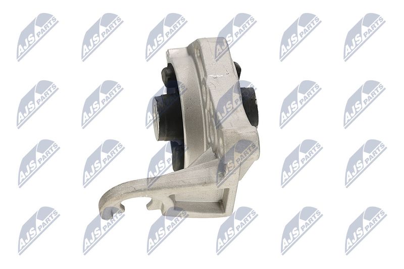 Paigutus, Mootor, NTY ZPS-CH-113