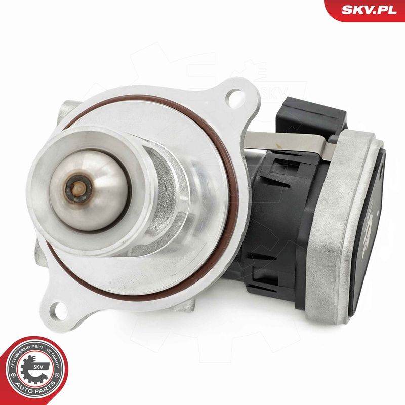 EGR-klapp, ESEN SKV 14SKV272