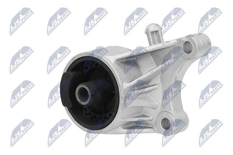 Paigutus, Mootor, NTY ZPS-PL-036