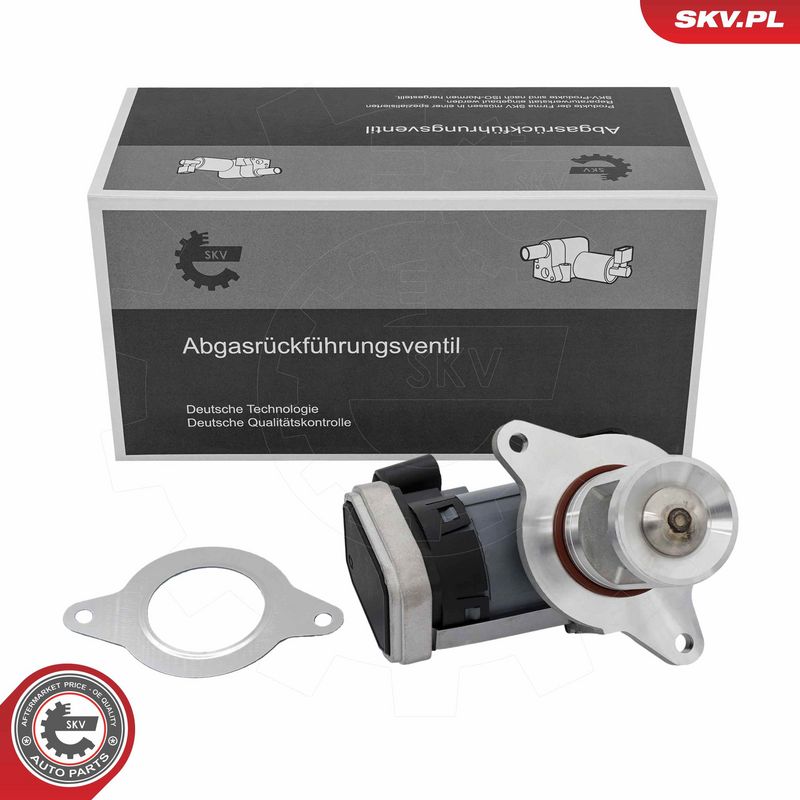 EGR-klapp, ESEN SKV 14SKV309