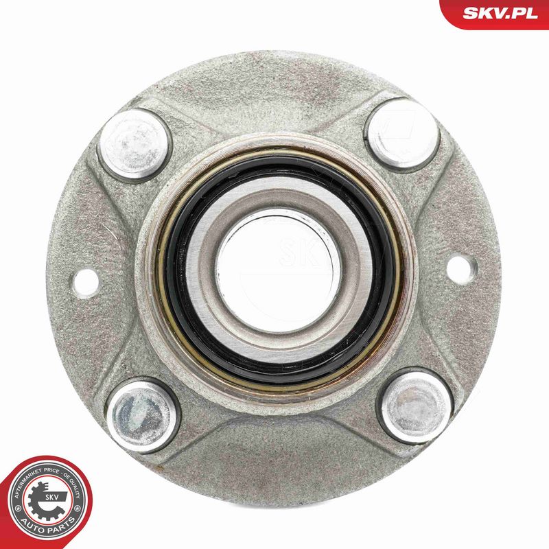 ESEN SKV 29SKV619 Wheel Bearing Kit