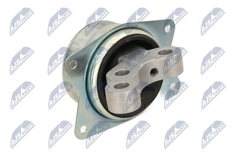 Paigutus, Mootor, NTY ZPS-PL-049